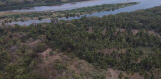 Registran dos asentamientos que sobrevivieron a la conquista en Guerrero Registran dos asentamientos que sobrevivieron a la conquista en Guerrero