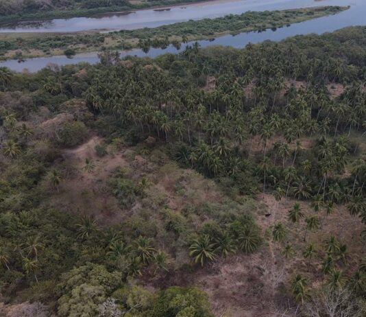 Registran dos asentamientos que sobrevivieron a la conquista en Guerrero Registran dos asentamientos que sobrevivieron a la conquista en Guerrero