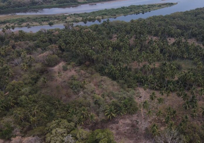 Registran dos asentamientos que sobrevivieron a la conquista en Guerrero Registran dos asentamientos que sobrevivieron a la conquista en Guerrero