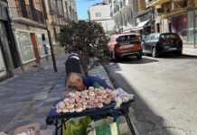 CEPAL advierte que la informalidad limita la productividad y el crecimiento en América Latina CEPAL advierte que la informalidad limita la productividad y el crecimiento en América Latina