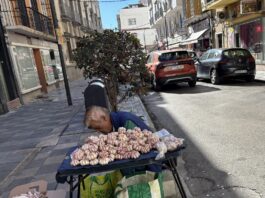 CEPAL advierte que la informalidad limita la productividad y el crecimiento en América Latina CEPAL advierte que la informalidad limita la productividad y el crecimiento en América Latina
