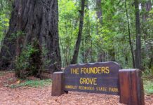 California ofrece pase gratuito a parques para estudiantes de cuarto grado California ofrece pase gratuito a parques para estudiantes de cuarto grado