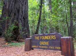 California ofrece pase gratuito a parques para estudiantes de cuarto grado California ofrece pase gratuito a parques para estudiantes de cuarto grado