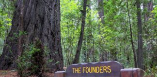 California ofrece pase gratuito a parques para estudiantes de cuarto grado California ofrece pase gratuito a parques para estudiantes de cuarto grado