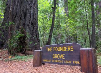 California ofrece pase gratuito a parques para estudiantes de cuarto grado California ofrece pase gratuito a parques para estudiantes de cuarto grado