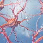 Caltech descubre cómo el contexto activa las neuronas espejo humanas