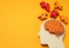 Cómo afecta el estrés crónico a la memoria y el cerebro Cómo afecta el estrés crónico a la memoria y el cerebro