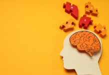 Cómo afecta el estrés crónico a la memoria y el cerebro Cómo afecta el estrés crónico a la memoria y el cerebro