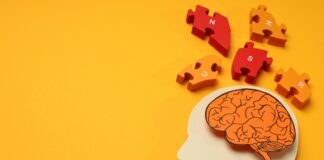 Cómo afecta el estrés crónico a la memoria y el cerebro Cómo afecta el estrés crónico a la memoria y el cerebro