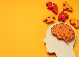Cómo afecta el estrés crónico a la memoria y el cerebro Cómo afecta el estrés crónico a la memoria y el cerebro