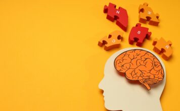 Cómo afecta el estrés crónico a la memoria y el cerebro Cómo afecta el estrés crónico a la memoria y el cerebro