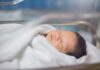 Calakmul deHRSA moderniza la evaluación de enfermedades para el tamizaje neonatal HRSA moderniza la evaluación de enfermedades para el tamizaje neonatal