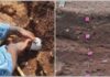 Investigación revela cómo hogares mayas aprovecharon pendientes y agua para cultivar Investigación revela cómo hogares mayas aprovecharon pendientes y agua para cultivar