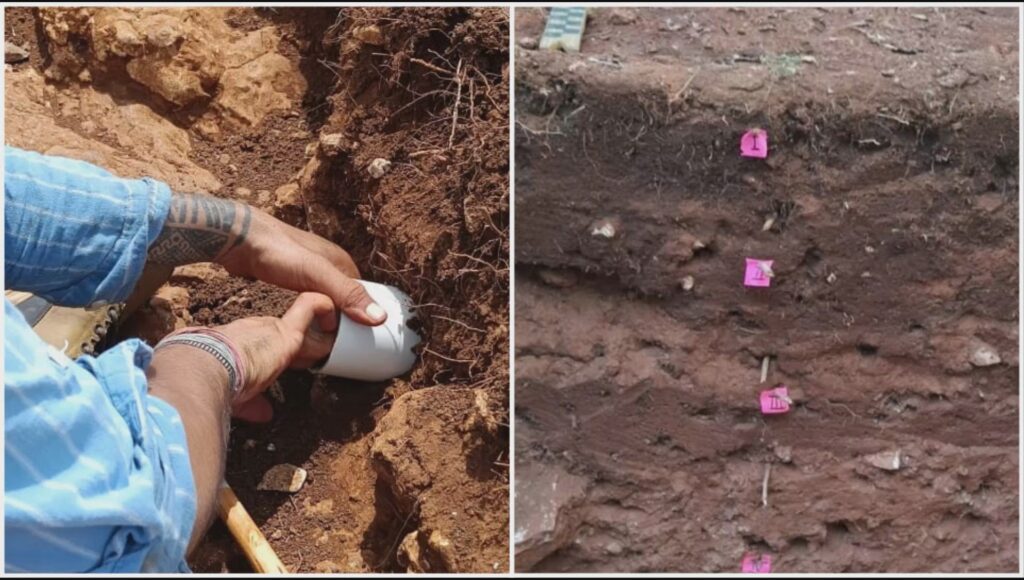 Investigación revela cómo hogares mayas aprovecharon pendientes y agua para cultivar