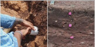 Investigación revela cómo hogares mayas aprovecharon pendientes y agua para cultivar Investigación revela cómo hogares mayas aprovecharon pendientes y agua para cultivar