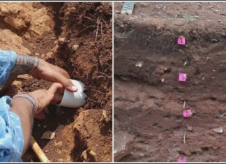 Investigación revela cómo hogares mayas aprovecharon pendientes y agua para cultivar Investigación revela cómo hogares mayas aprovecharon pendientes y agua para cultivar