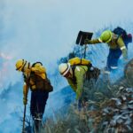 Irvine desplegará una red de sensores con IA para detectar incendios forestales