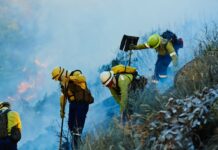 Irvine desplegará una red de sensores con IA para detectar incendios forestales Irvine desplegará una red de sensores con IA para detectar incendios forestales