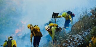Irvine desplegará una red de sensores con IA para detectar incendios forestales Irvine desplegará una red de sensores con IA para detectar incendios forestales
