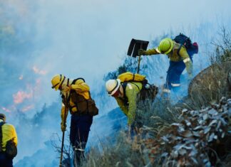 Irvine desplegará una red de sensores con IA para detectar incendios forestales Irvine desplegará una red de sensores con IA para detectar incendios forestales