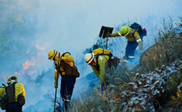 Irvine desplegará una red de sensores con IA para detectar incendios forestales Irvine desplegará una red de sensores con IA para detectar incendios forestales