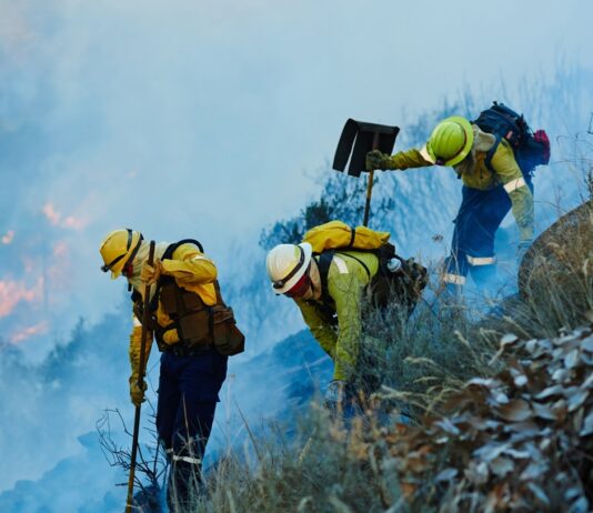 Irvine desplegará una red de sensores con IA para detectar incendios forestales Irvine desplegará una red de sensores con IA para detectar incendios forestales