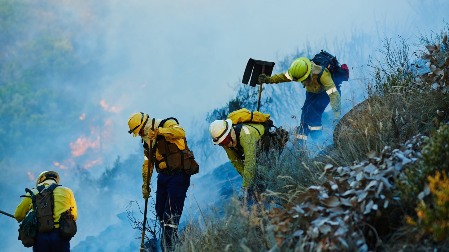 Irvine desplegará una red de sensores con IA para detectar incendios forestales Irvine desplegará una red de sensores con IA para detectar incendios forestales