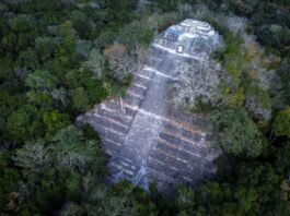 La UNESCO descarta por ahora incluir a Calakmul entre los patrimonios en peligro La UNESCO descarta por ahora incluir a Calakmul entre los patrimonios en peligro