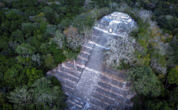 La UNESCO descarta por ahora incluir a Calakmul entre los patrimonios en peligro La UNESCO descarta por ahora incluir a Calakmul entre los patrimonios en peligro