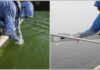 Nuevo laboratorio medirá contaminantes PFAS en aguas de Puerto Rico Nuevo laboratorio medirá contaminantes PFAS en aguas de Puerto Rico