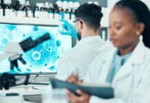 Nuevos modelos tumorales impulsan la oncología de precisión Nuevos modelos tumorales impulsan la oncología de precisión