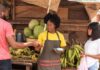 Precios mundiales de alimentos suben por clima, energía y tensiones geopolíticas Precios mundiales de alimentos suben por clima, energía y tensiones geopolíticas