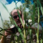 Seis películas de América Latina competirán por impulso internacional en WIP Latam