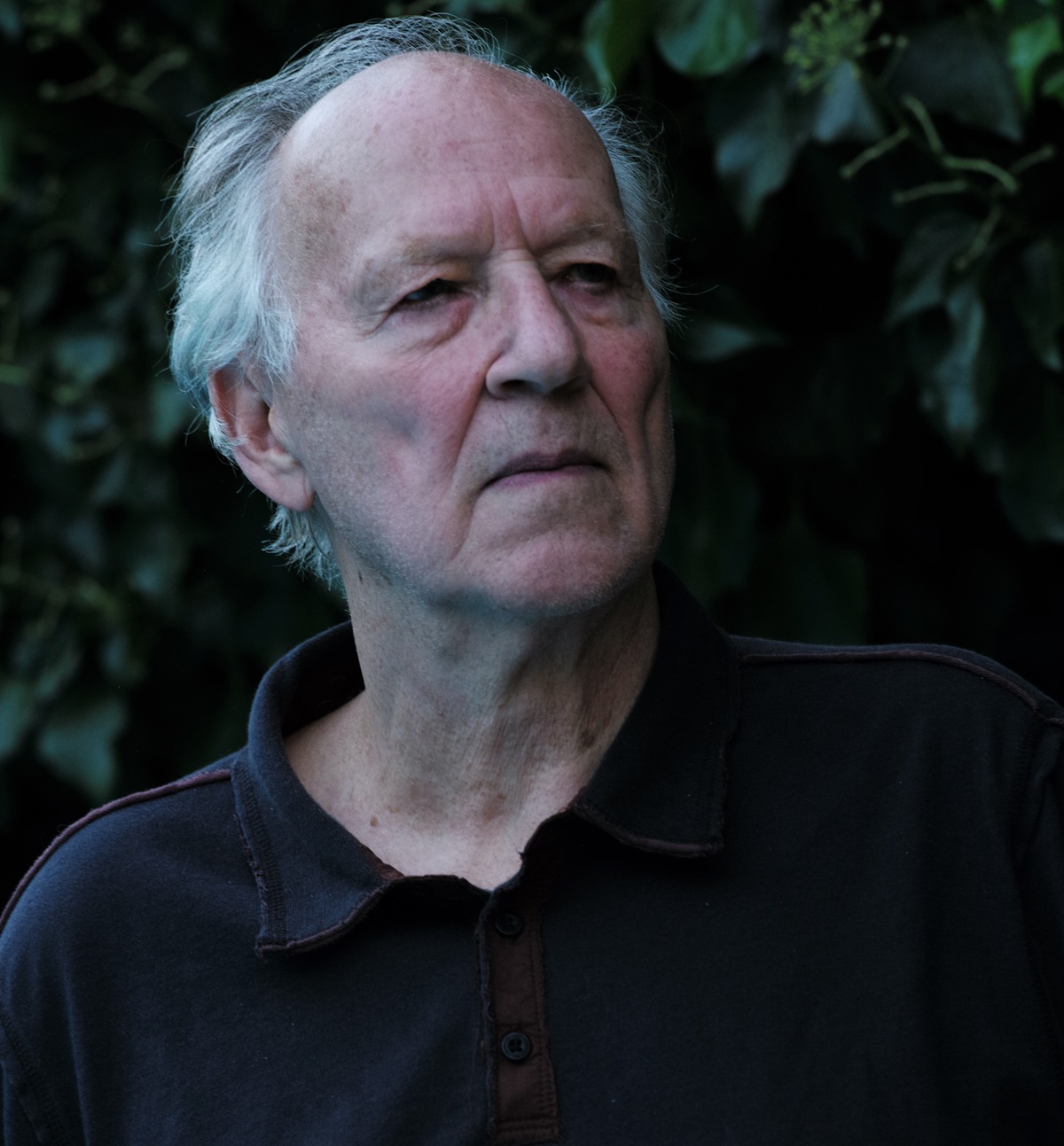 Werner Herzog recibirá el Premio Donostia en el Festival de San Sebastián Werner Herzog recibirá el Premio Donostia en el Festival de San Sebastián