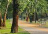 Zamora Park reabre en El Monte con más de 100 árboles y sistemas para captar agua de lluvia Zamora Park reabre en El Monte con más de 100 árboles y sistemas para captar agua de lluvia