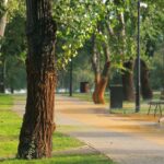 Zamora Park reabre en El Monte con más de 100 árboles y sistemas para captar agua de lluvia