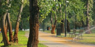 Zamora Park reabre en El Monte con más de 100 árboles y sistemas para captar agua de lluvia Zamora Park reabre en El Monte con más de 100 árboles y sistemas para captar agua de lluvia