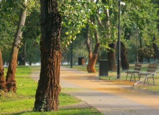 Zamora Park reabre en El Monte con más de 100 árboles y sistemas para captar agua de lluvia Zamora Park reabre en El Monte con más de 100 árboles y sistemas para captar agua de lluvia