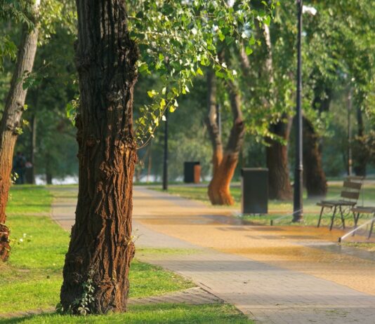 Zamora Park reabre en El Monte con más de 100 árboles y sistemas para captar agua de lluvia Zamora Park reabre en El Monte con más de 100 árboles y sistemas para captar agua de lluvia