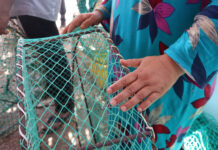 El cangrejo azul genera ingresos y desafíos para un grupo de pescadores El cangrejo azul genera ingresos y desafíos para un grupo de pescadores
