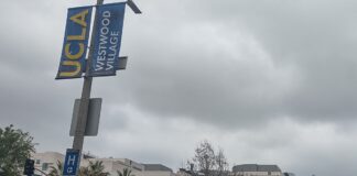 UCLA lidera ranking de universidades públicas de Estados Unidos UCLA lidera ranking de universidades públicas de Estados Unidos