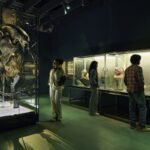 Zombis y clásicos del terror llegan al Academy Museum