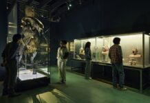 Zombis y clásicos del terror llegan al Academy Museum Zombis y clásicos del terror llegan al Academy Museum