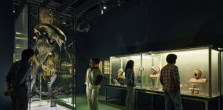 Zombis y clásicos del terror llegan al Academy Museum Zombis y clásicos del terror llegan al Academy Museum
