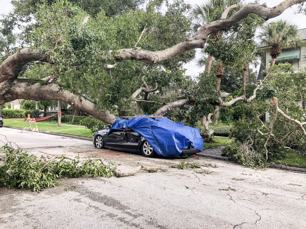 ¿Cubre su seguro los daños por lluvias en California?