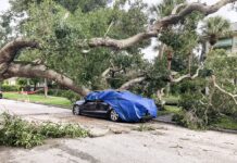 ¿Cubre su seguro los daños por lluvias en California? ¿Cubre su seguro los daños por lluvias en California?