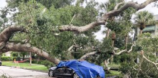 ¿Cubre su seguro los daños por lluvias en California? ¿Cubre su seguro los daños por lluvias en California?