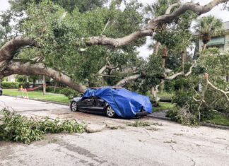 ¿Cubre su seguro los daños por lluvias en California? ¿Cubre su seguro los daños por lluvias en California?