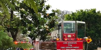 California investiga trabas para entregar seguros a sobrevivientes de incendios California investiga trabas para entregar seguros a sobrevivientes de incendios