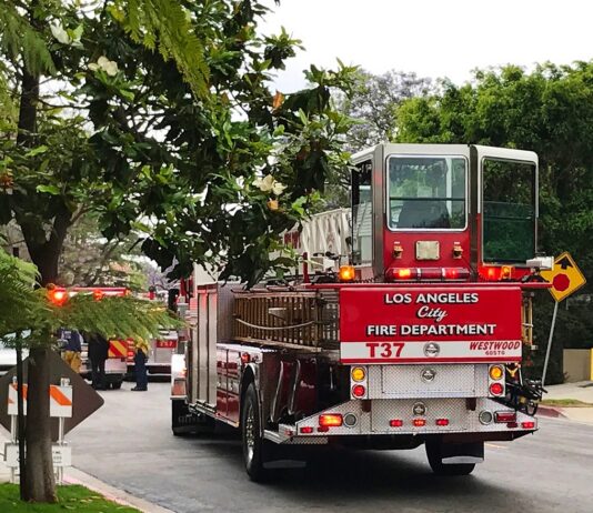 California investiga trabas para entregar seguros a sobrevivientes de incendios California investiga trabas para entregar seguros a sobrevivientes de incendios